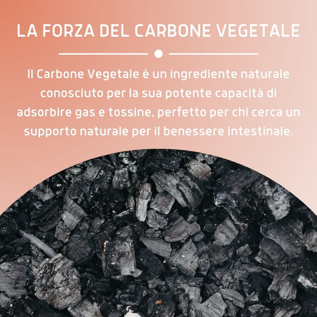 CARBONE VEGETALE 60CPR