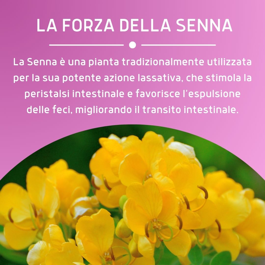 COMPRESSA VEGETALE L 50 COMPRESSE