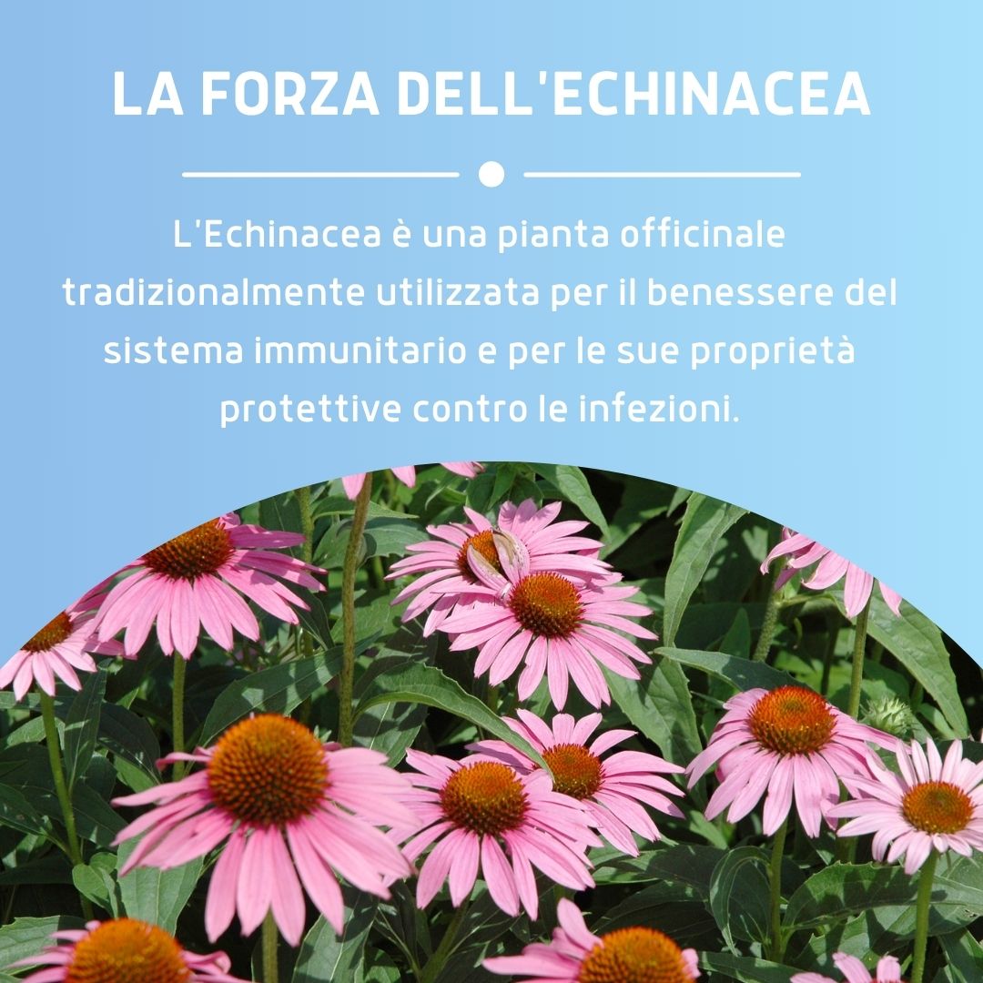 ECHINACEA SOLUZIONE IDROALCOLICA 50ML