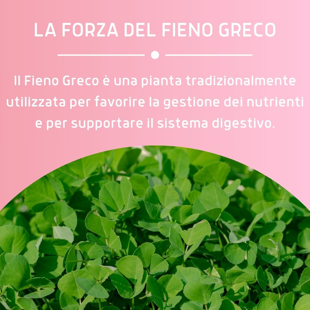 FIENO GRECO 160 COMPRESSE
