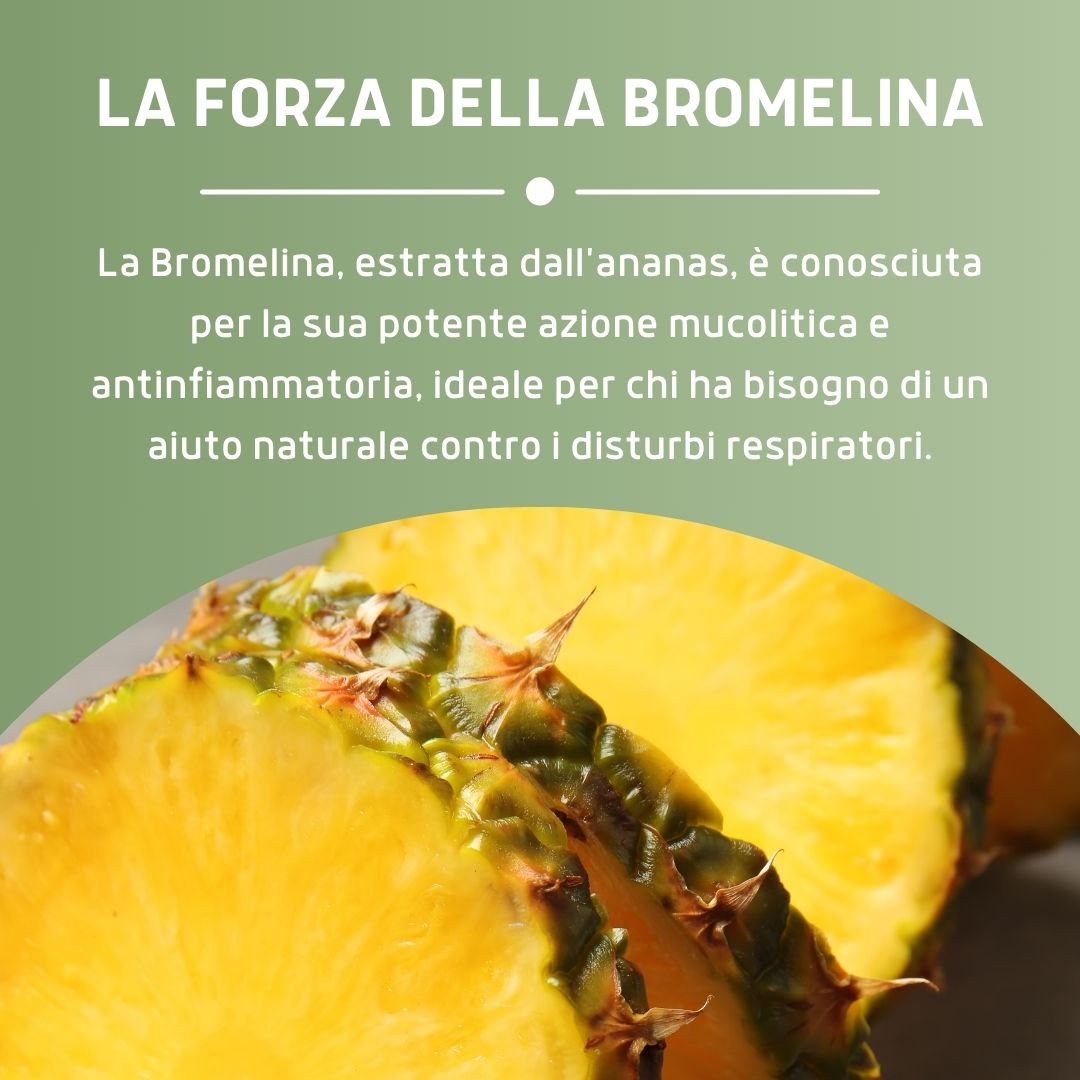 FLUIDERB NAC 600 30 CAPSULE