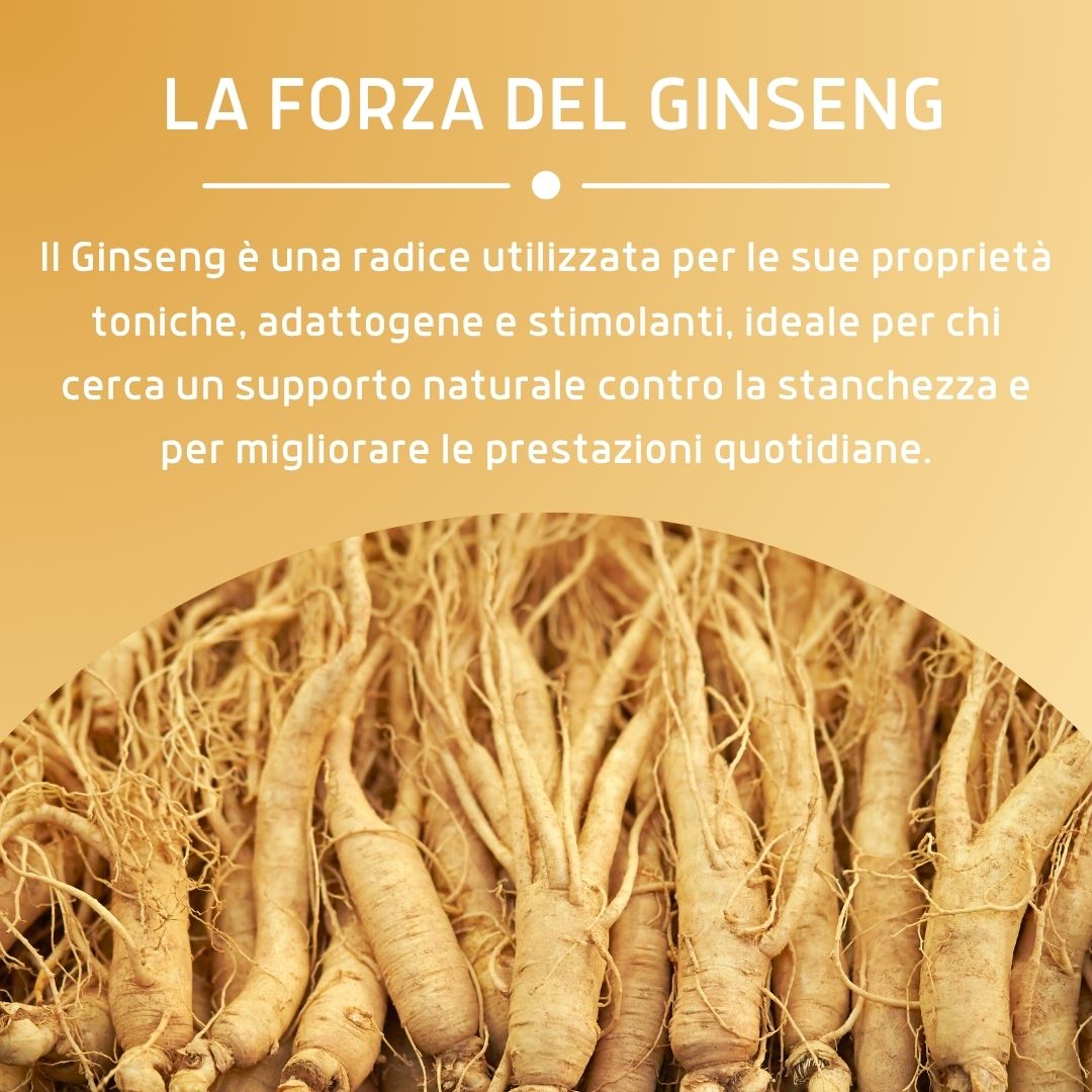 GINSENG 100 CAPSULE