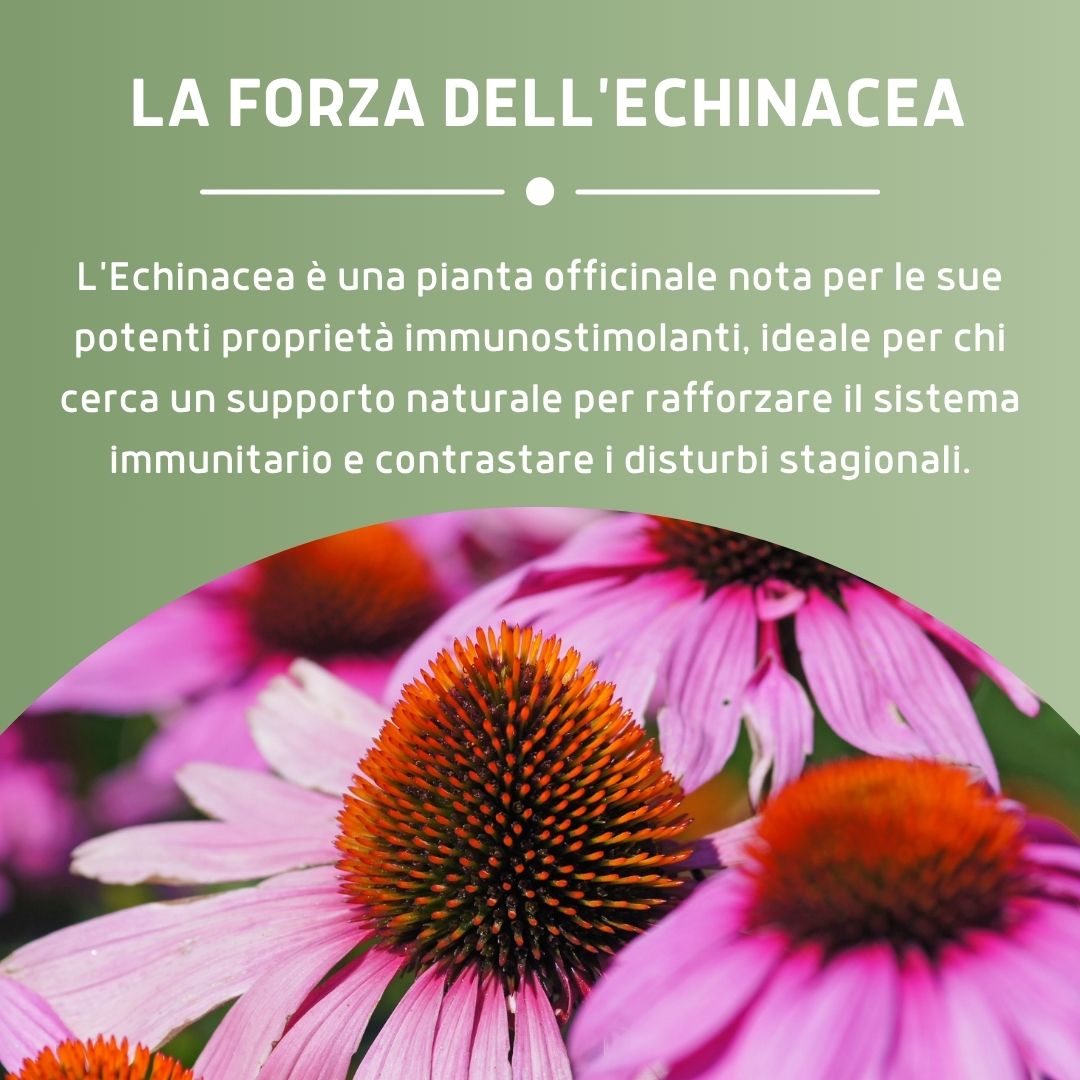 LATTOFERRINA 200 COMPLEX  30 CAPSULE