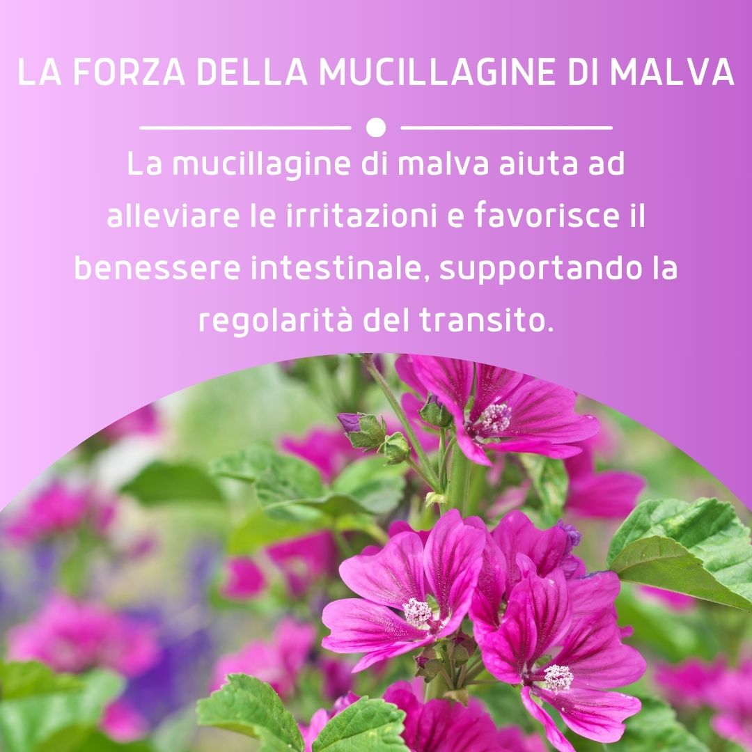 MALVA MUCILLAGINE 200ML