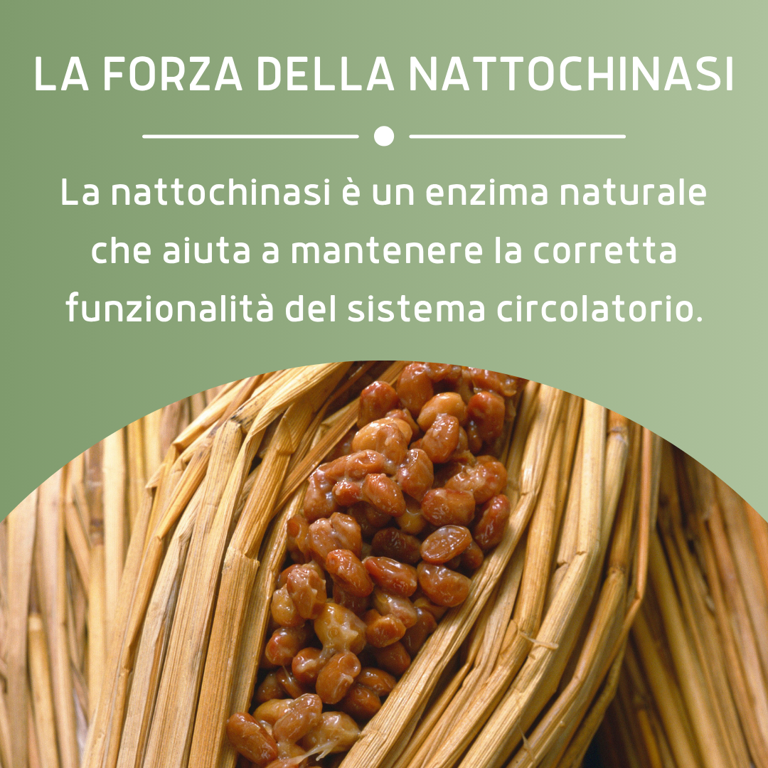 NATTOCHINASI PLUS 30 CAPSULE