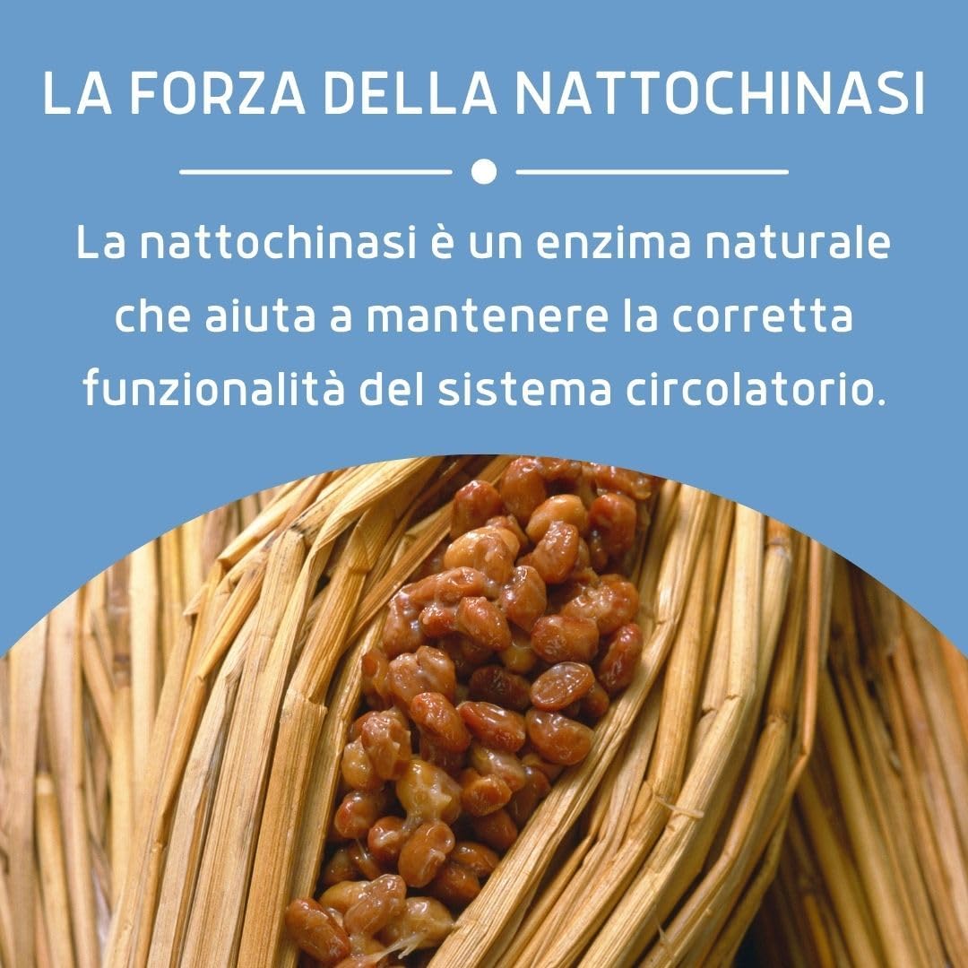 NATTOCHINASI PLUS 30 CAPSULE