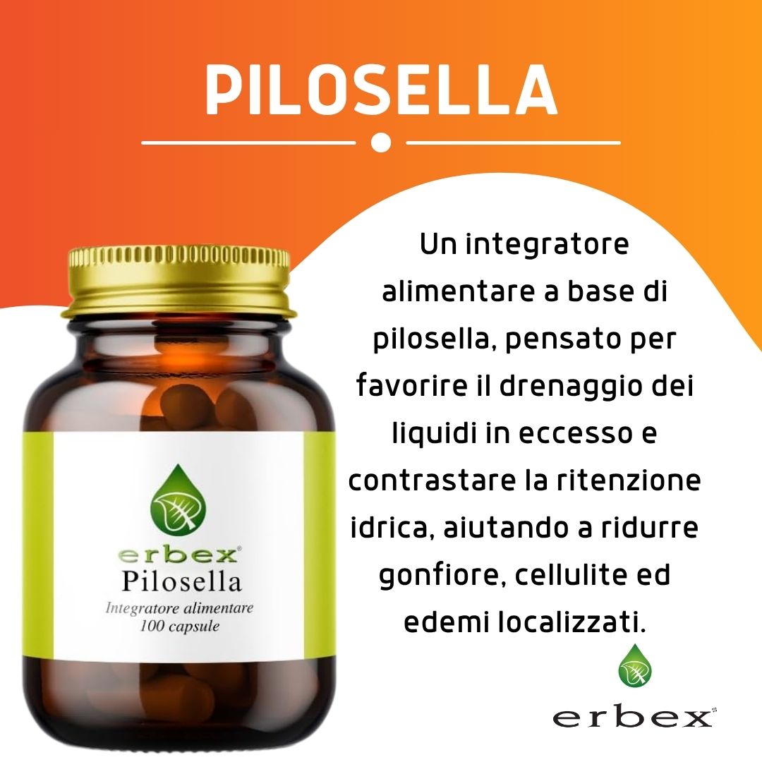 PILOSELLA 100 CAPSULE