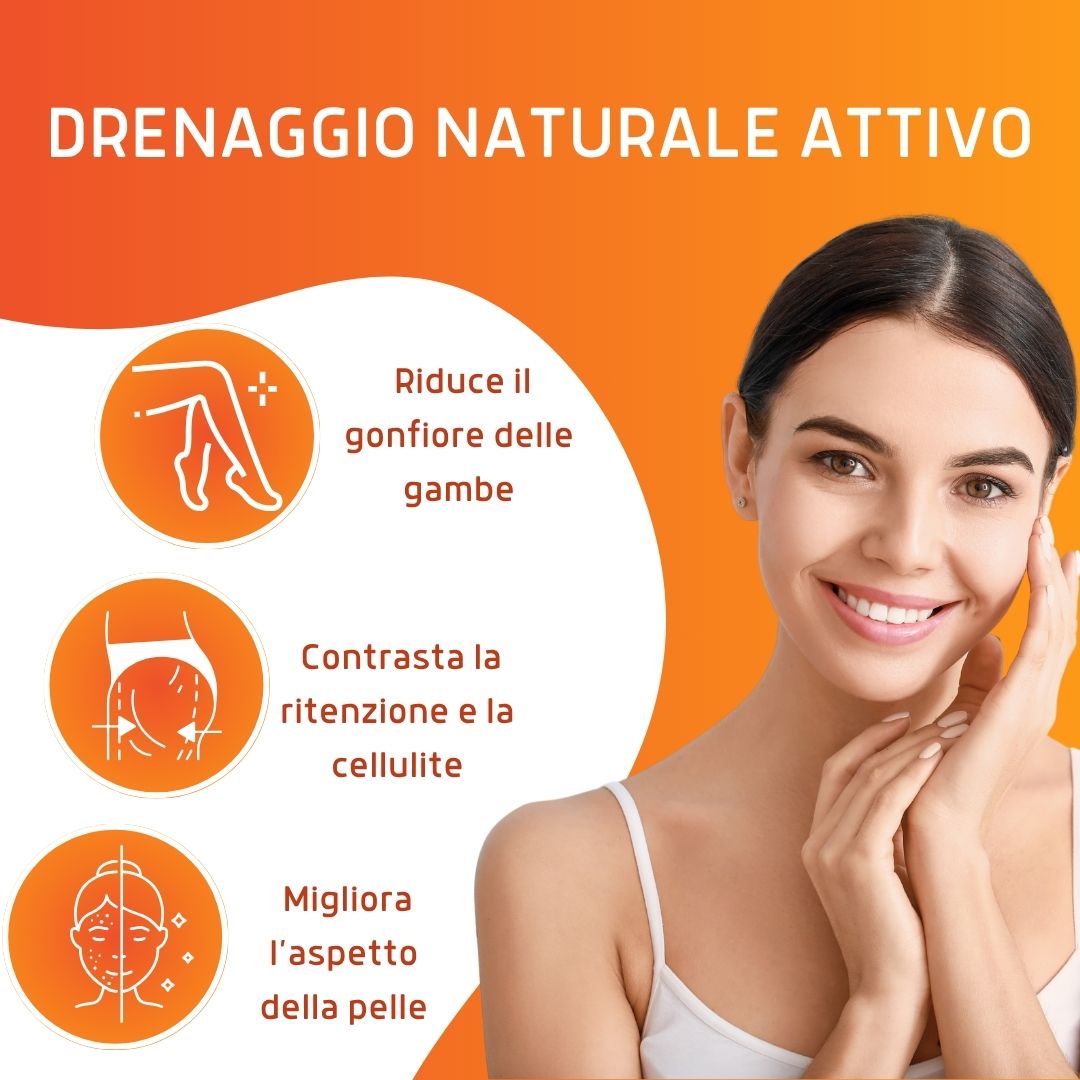 PILOSELLA 100 CAPSULE