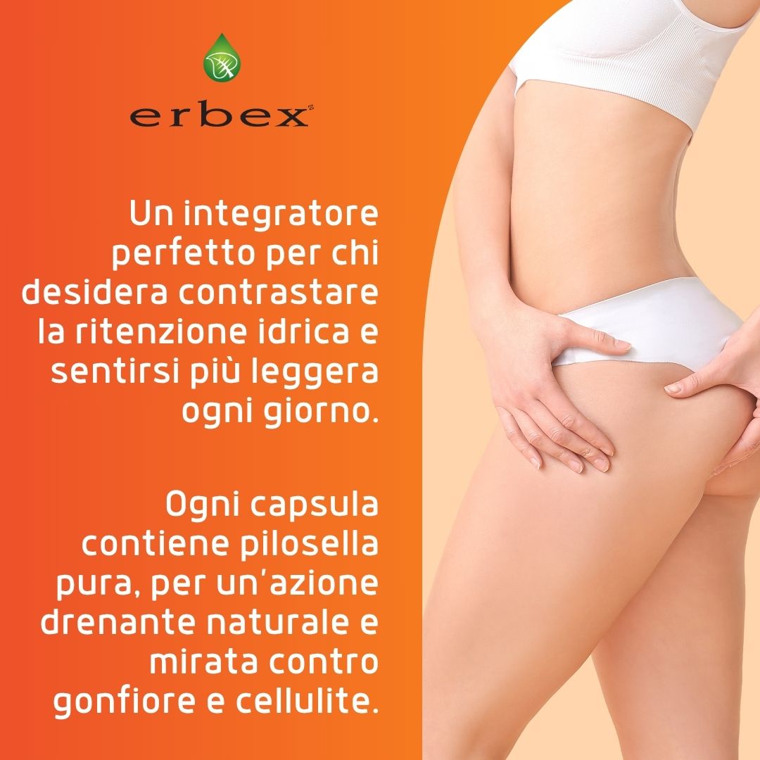 PILOSELLA 100 CAPSULE