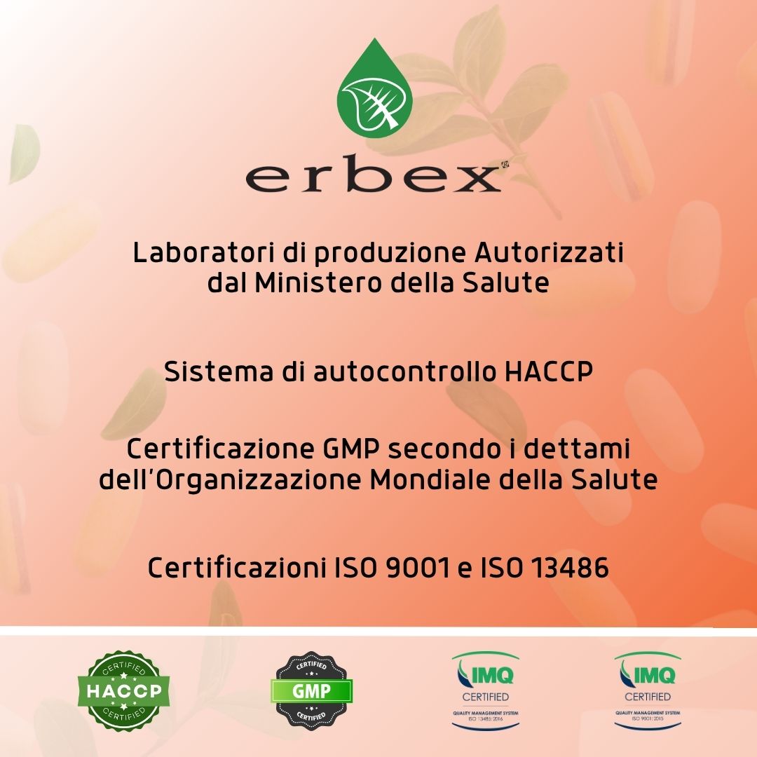 PILOSELLA 100 CAPSULE