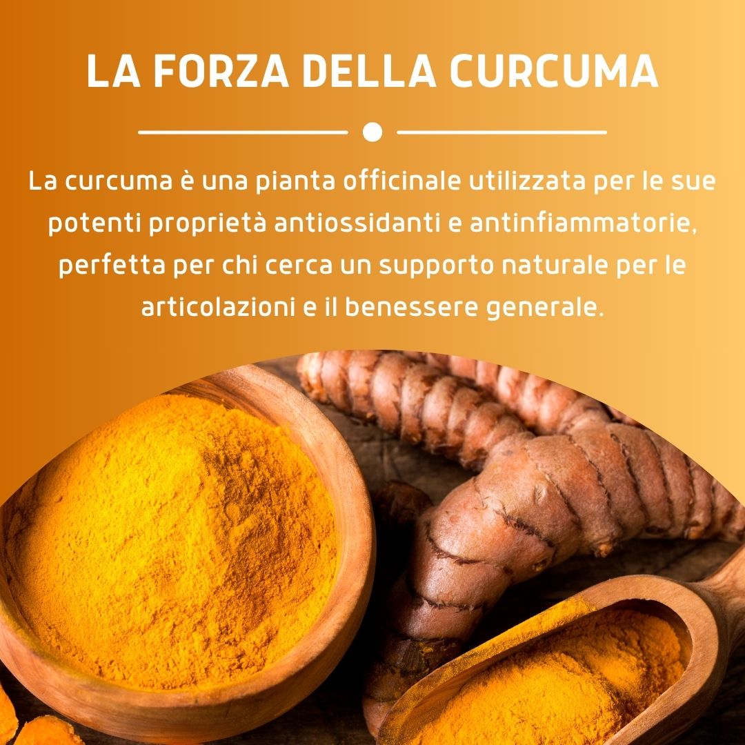 CURCUMA 100 CAPSULE