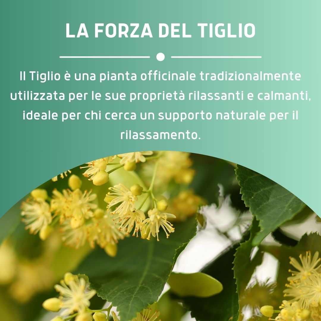 TIGLIO GEMMODERIVATO 50ML