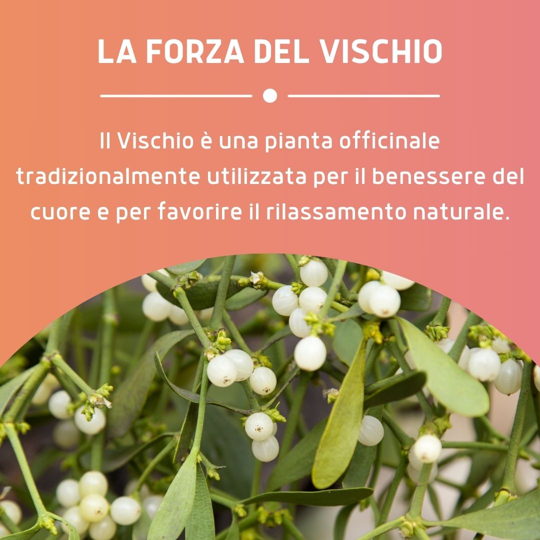 VISCHIO GEMMODERIVATO 50ML