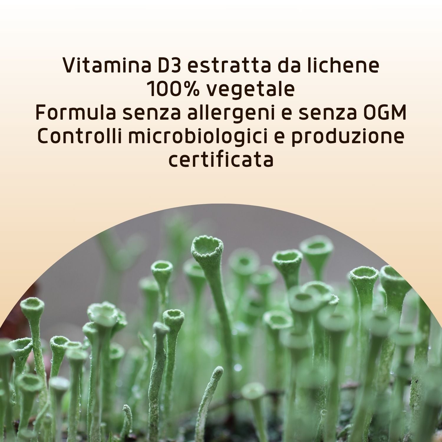 VITAMINA D VEGETAL 20ML