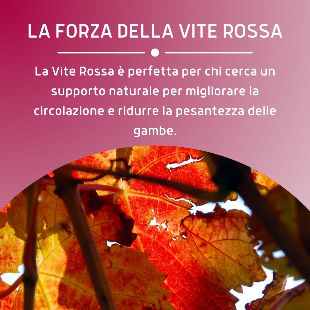 VITE ROSSA 100 CAPSULE